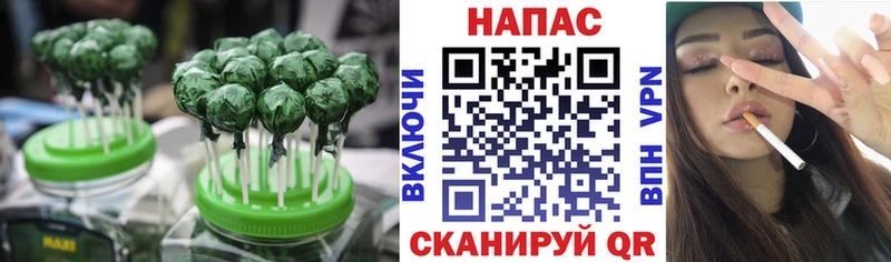 где найти наркотики  Стародуб  Еда ТГК марихуана 